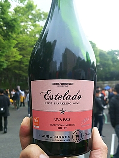 写真（ワイン） by Shinichi  Yamada