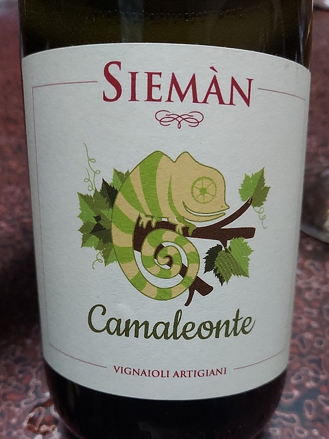 Siemàn Camaleonte 2017(シエマン カマレオンテ)