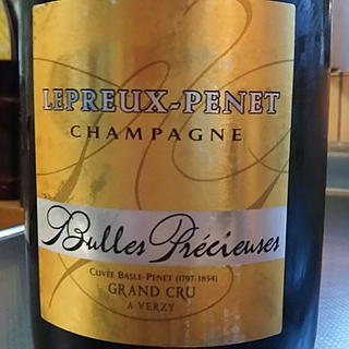 Lepreux Penet Bulles Précieuses
