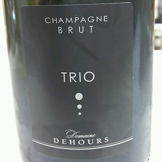 Dehours Trio Brut