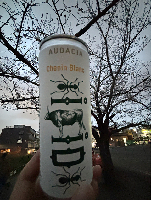 Audacia Ant-Ox Chenin Blanc(アウダシア アント・オックス シュナン・ブラン)