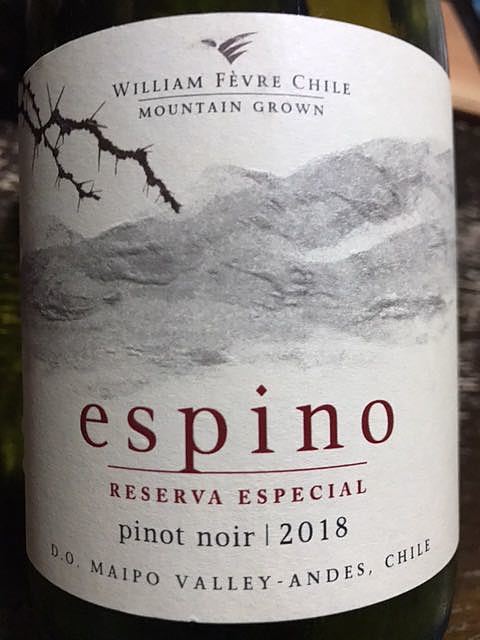 William Fèvre Chile Espino Pinot Noir(ウィリアム・フェーブル・チリ エスピノ ピノ・ノワール)