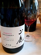山鹿 マスカット・ベーリーA(2020)