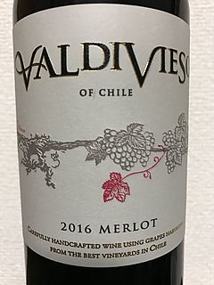 Valdivieso Merlot(バルディビエソ メルロー)