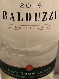 Balduzzi Sauvignon Blanc(バルダッジ ソーヴィニヨン・ブラン)