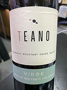 ティアーノ ヴィドック(2024)