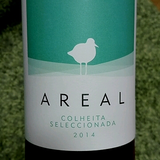 Areal Colheita Seleccionada