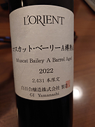 ロリアン(2022)