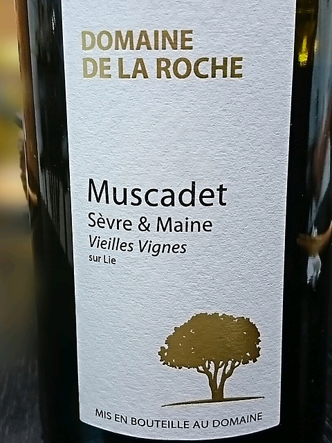 Dom. de la Roche Muscadet Sèvre & Maine Vieilles Vignes Sur Lie(ドメーヌ・ド・ラ・ロッシュ ミュスカデ・セーヴル・エ・メーヌ ヴィエイユ・ヴィーニュ シュール・リー)