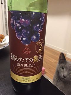 写真（ワイン） by rinrinn