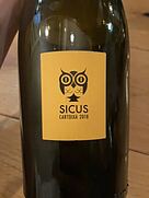 Sicus Brisat
