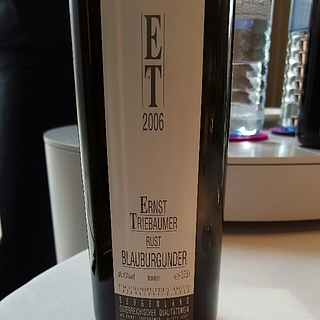 Ernst Triebaumer Rust Blauburgunder trocken