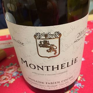Dom. Fabien Coche Monthélie