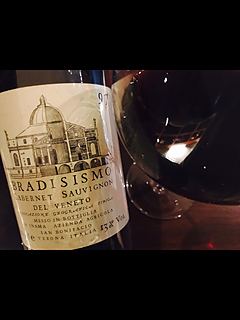 Inama Bradisismo 1997