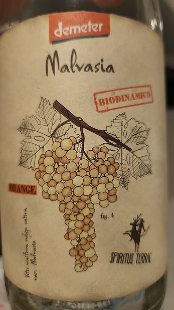 Cantina Orsogna Spiritus Terrae Malvasia Orange