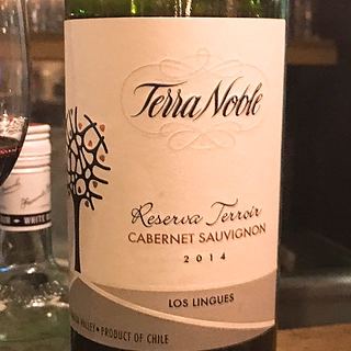 Terra Noble Reserva Terroir Cabernet Sauvignon