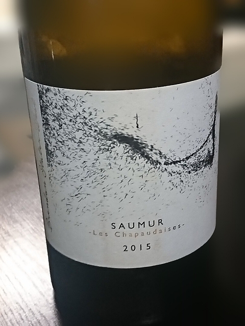 Brendan Stater West Saumur Les Chapaudaises