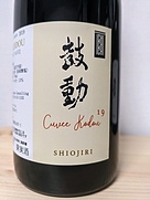 111VINEYARD Cuvée KODOU 鼓動 メルロ 18(2019)