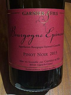 Garnier & Fils Bourgogne Épineuil Pinot Noir