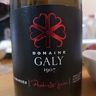 Dom. Galy Pech Saint Jean