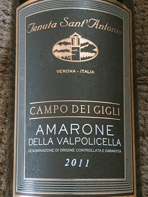 Tenuta Sant'Antonio Amarone della Valpolicella Campo dei Gigli(テヌータ・サン・アントニオ アマローネ・デッラ・ヴァルポリチェッラ カンポ・デイ・ジーリ)