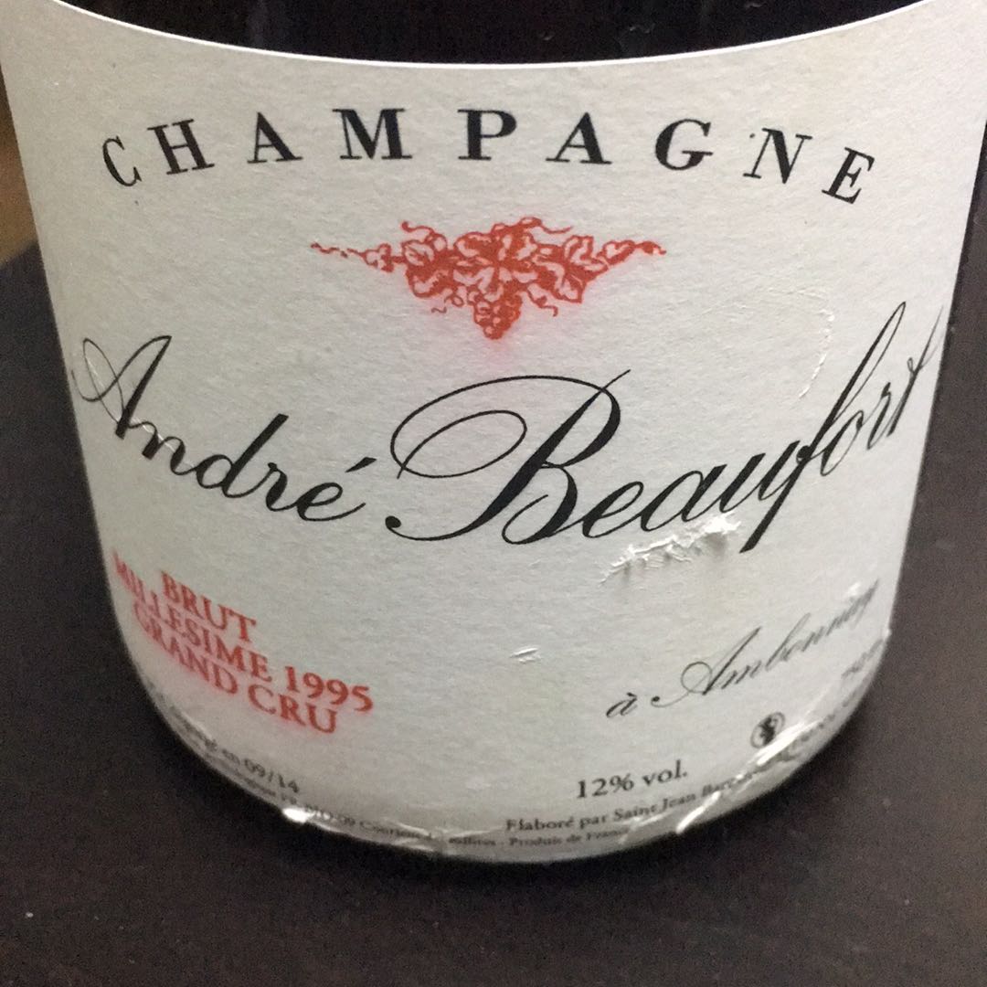 André Beaufort Ambonnay Brut Millésime Grand | Vinica 無料の