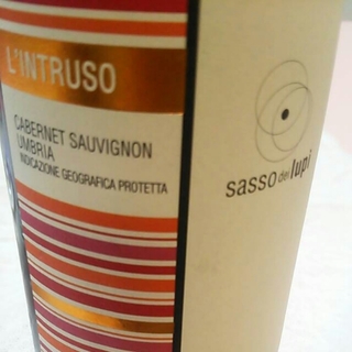 Sasso dei Lupi l'Intruso Cabernet Sauvignon