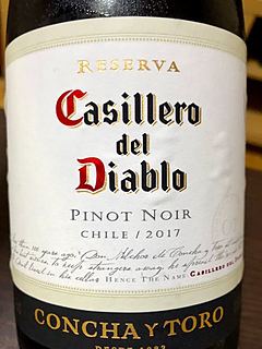 Casillero del Diablo Pinot Noir Reserva(カッシェロ・デル・ディアブロ ピノ・ノワール レゼルヴァ)