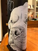 デヴィッド・フランツ ラリキン シックス