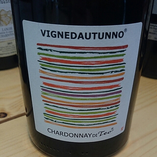 Teo Costa Vignedautunno Chardonnay