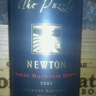 Newton The Puzzle 2005