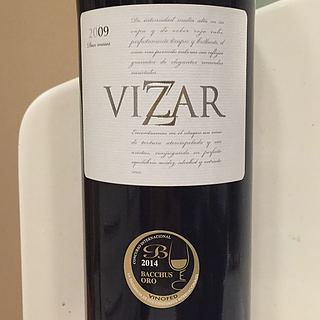 Vizar 12 meses(ヴィザール 12・メセス)