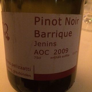 Annatina Pelizzatti Pinot Noir Jenins Graubunden