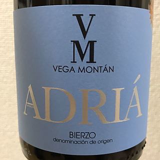 Vega Montán Adriá