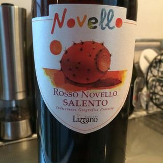 Lizzano Novello Rosso Salento