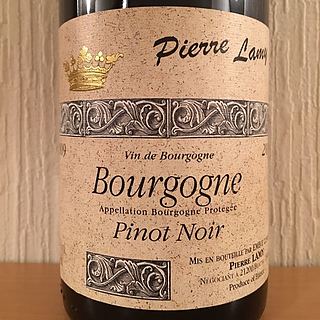 Pierre Lamy Bourgogne Pinot Noir