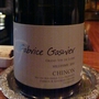 Fabrice Gasnier Chinon Millesime(2010)