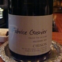 Fabrice Gasnier Chinon Millesime(2010)