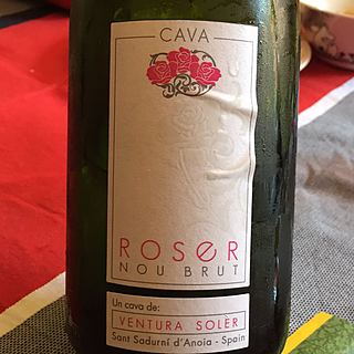 Ventura Soler Roser Nou Brut