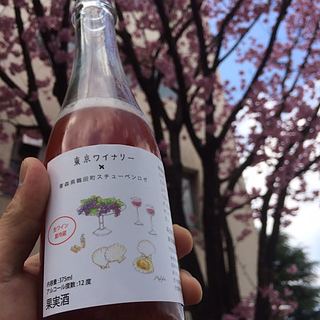 写真（ワイン） by hayama