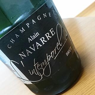 Alain Navarre L'Intemporel Brut