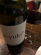 トリンケーロ アユーキ