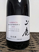 山鹿 マスカット・ベーリーA(2020)