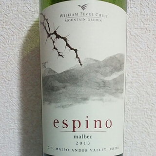 William Fèvre Chile Espino Malbec