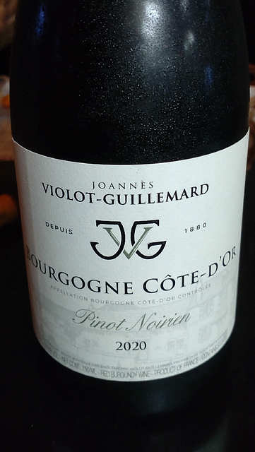 Joannès Violot Guillemard Bourgogne Côte d'Or Pinot Noirien