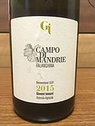 Giovanni Lannucci Campo di Mandrie Falanghina(2015)