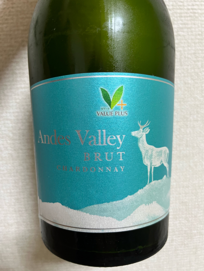 Value Plus Andes Valley Brut Chardonnay(バリュー・プラス