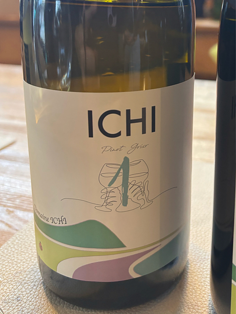 Dom. ICHI G Pinot Gris 2022