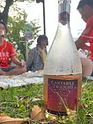 メルシャン カンタービレ トワイライト スプマンテ ロゼ