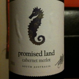 Taylors (Wakefield) Promised Land Cabernet Melrot(テイラーズ （ウェイクフィールド） プロミスド・ランド カベルネ・メルロ)